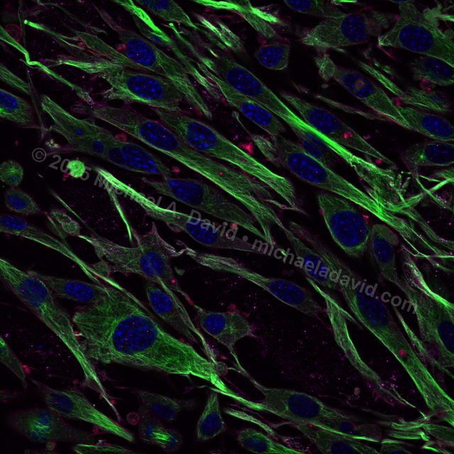 science_Picutre 4-2020.png